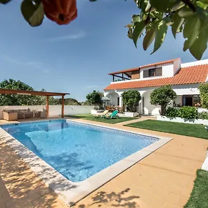 https://villa-sao-miguel-armacao-de-pera.hotelaalgarve.com